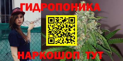 ECSTASY Рязань