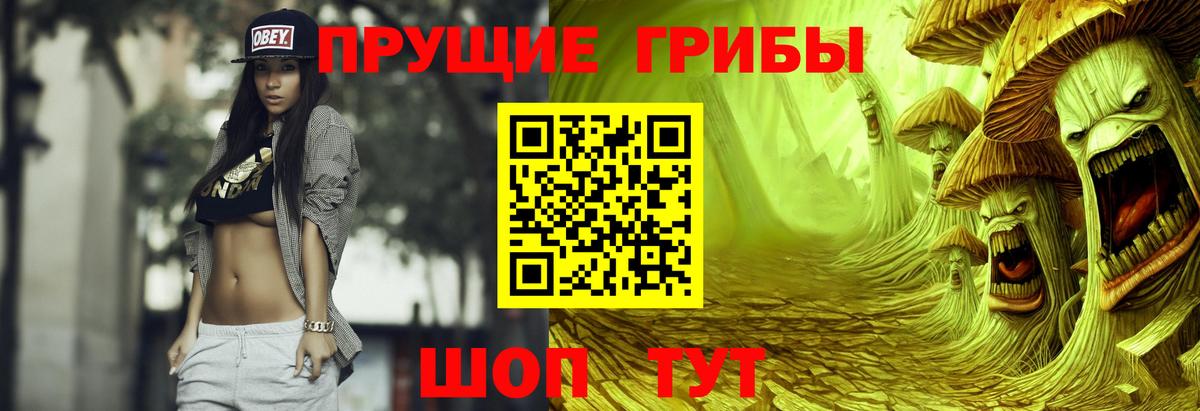 Псилоцибиновые грибы Psilocybe Сергиев Посад